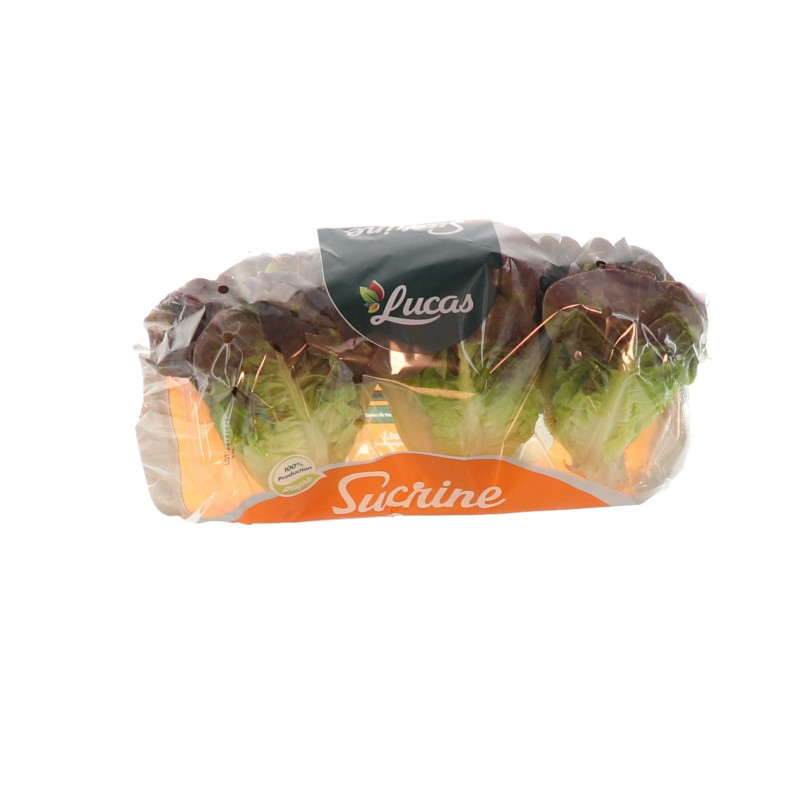 SALADE SUCRINE RAVIER 12X3PCS